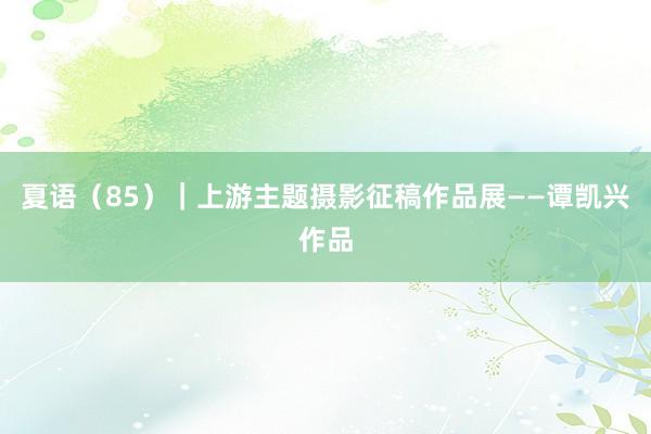 夏语（85）｜上游主题摄影征稿作品展——谭凯兴作品